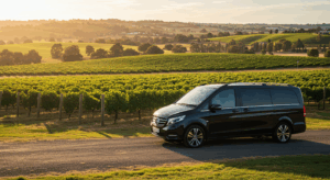 Chauffeured Swan Valley Vineyard Tour